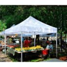 carpa-profesional-hex50-con-paredes-blanca-donna-garden-4x6-metros-6.jpg