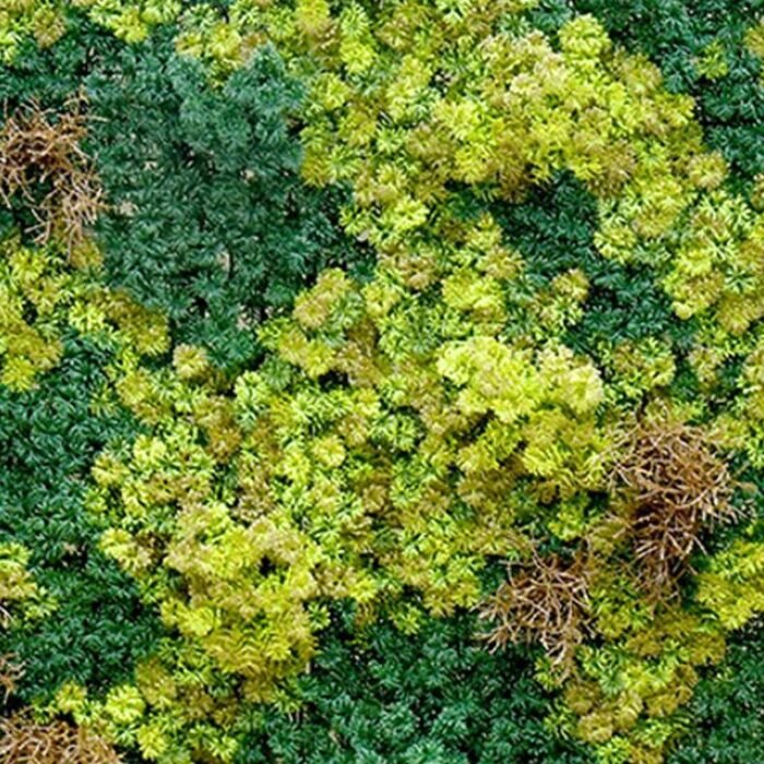 jardin-vertical-100x100cm-serie-indigo-donna-garden-3.jpg jardin-vertical-100x100cm-serie-indigo-donna-garden-3.jpg