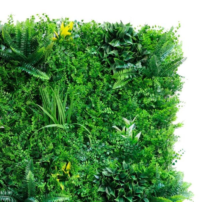 jardin-vertical-50x50cm-serie-dense-fern-donna-garden-3.jpg