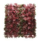 jardin-vertical-50x50cm-serie-red-maple-donna-garden.jpg
