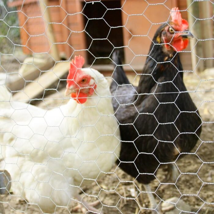 malla-gallinero-hexagonal-13x07mm-1x50m-donna-garden-1.jpg malla-gallinero-hexagonal-13x07mm-1x50m-donna-garden-1.jpg